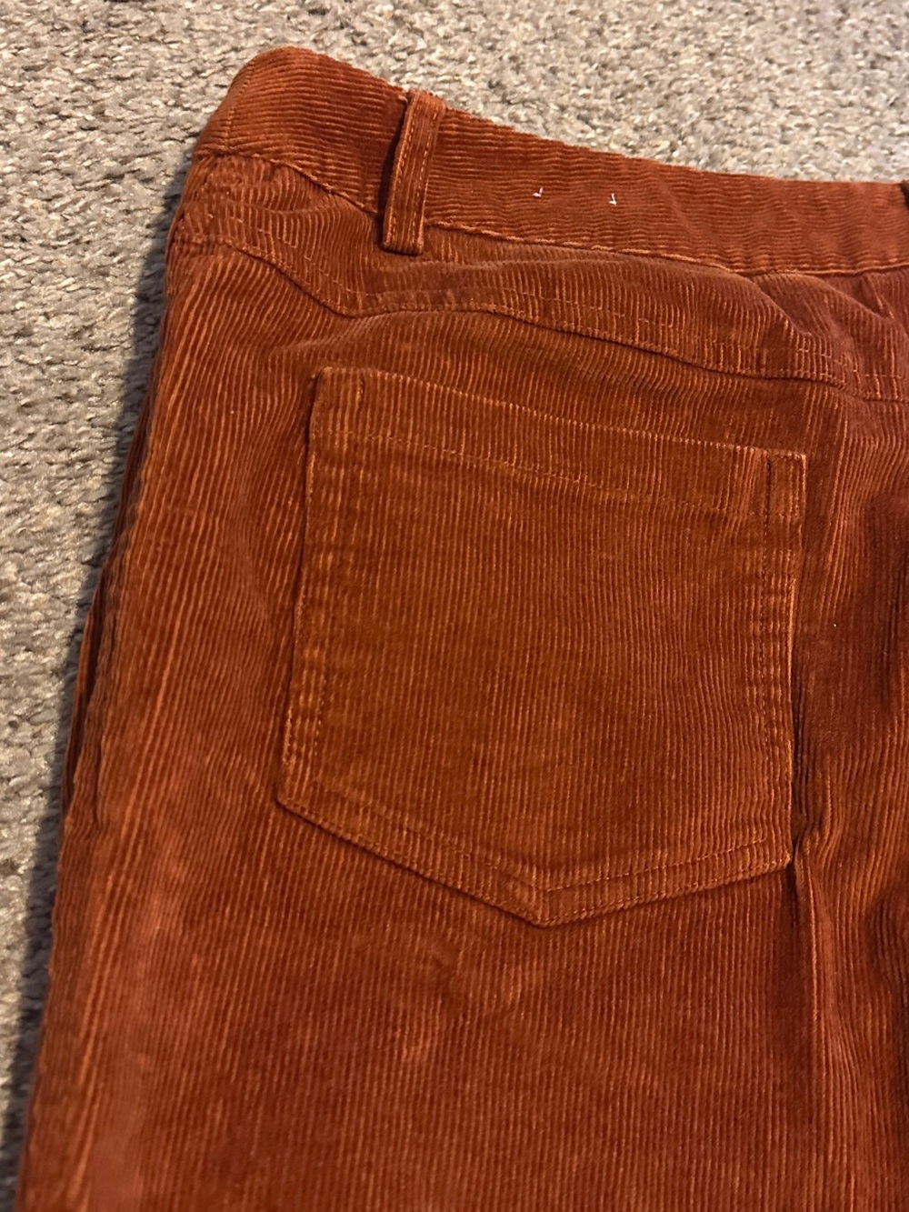 J. McLaughlin Burnt Orange Corduroy Pants Women’s Size 8 Fall Academia Preppy - Picture 7 of 15